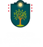 Logo Colegio Los Aromos de San Javier