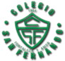 Logo San Fernando